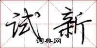 荆霄鹏试新行书怎么写