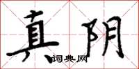 周炳元真阴楷书怎么写