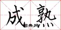 何伯昌成熟楷书怎么写