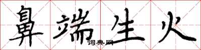周炳元鼻端生火楷书怎么写