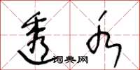 王冬龄透水草书怎么写
