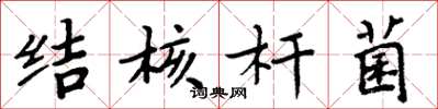 周炳元结核杆菌楷书怎么写