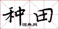 周炳元种田楷书怎么写