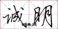 田英章诚明行书怎么写