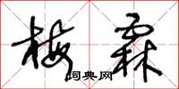 王冬龄梅霖草书怎么写