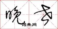王冬龄晚世草书怎么写