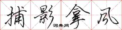 田英章捕影拿风行书怎么写