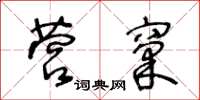 王冬龄营窠草书怎么写