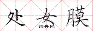 田英章处女膜楷书怎么写