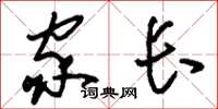 刘少英家长草书怎么写