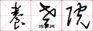 刘少英养老院草书怎么写