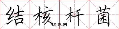 田英章结核杆菌楷书怎么写