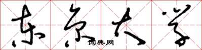 刘少英东京大学草书怎么写
