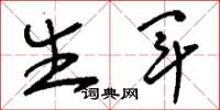 刘少英生军草书怎么写