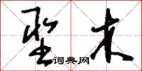 刘少英圣木草书怎么写