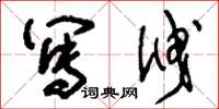 刘少英写泄草书怎么写