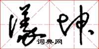 刘少英仪坤草书怎么写
