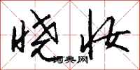 钱沛云晓妆行书怎么写