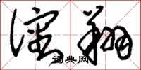 刘少英沈翔草书怎么写