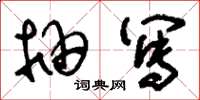 刘少英抽写草书怎么写