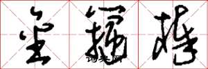 刘少英金箍棒草书怎么写