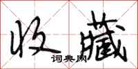 段相林收藏行书怎么写