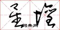 刘少英星坛草书怎么写