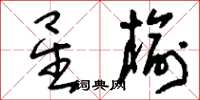 刘少英星榆草书怎么写