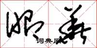 刘少英昭华草书怎么写