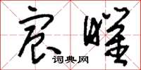 刘少英宸曜草书怎么写