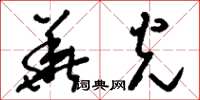 刘少英华光草书怎么写