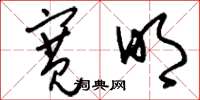 刘少英宽明草书怎么写