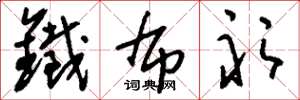 刘少英铁布衫草书怎么写