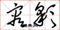 刘少英容彩草书怎么写