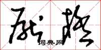 刘少英厌极草书怎么写