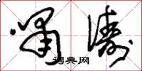 刘少英啸俦草书怎么写