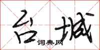 段相林台城行书怎么写