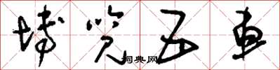 刘少英博览五车草书怎么写