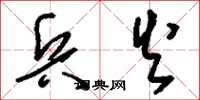 刘少英兵火草书怎么写