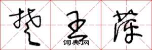 王冬龄楚王萍草书怎么写