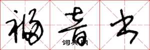 王冬龄福音书草书怎么写
