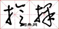 刘少英抡择草书怎么写