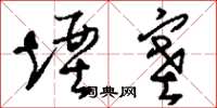 刘少英堙塞草书怎么写