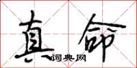 段相林真命行书怎么写