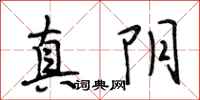段相林真阴行书怎么写
