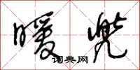 王冬龄暖兜草书怎么写