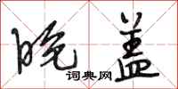 段相林晚盖行书怎么写