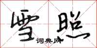 段相林雪照行书怎么写