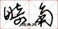 刘少英畸角草书怎么写