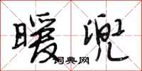 段相林暖兜行书怎么写
